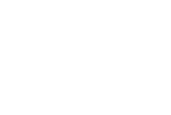 logo-blu