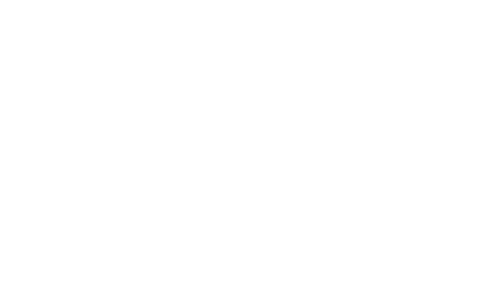 logo-livin