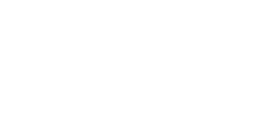 logo-spay